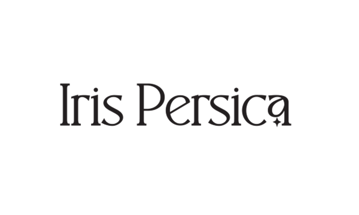 logo dark
