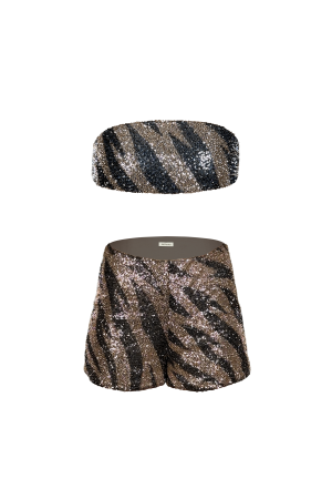 Morel sequined Ensemble